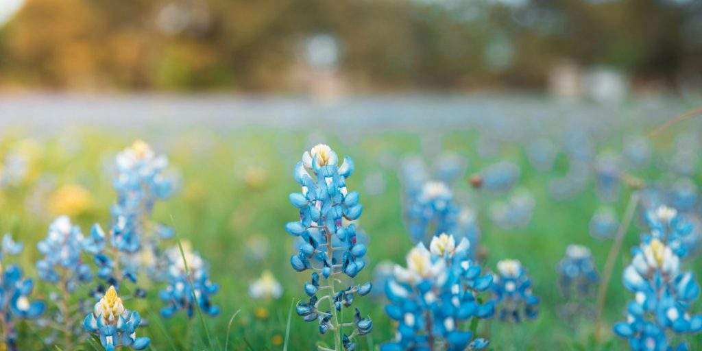 Texas Hill Country Real Estate